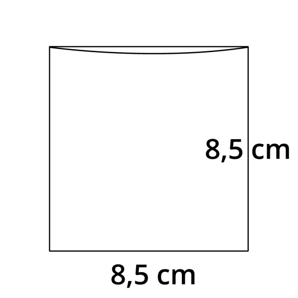 PP sáček plochý bez RZ - 85 x 85 mm - 30 my (100 ks/bal)