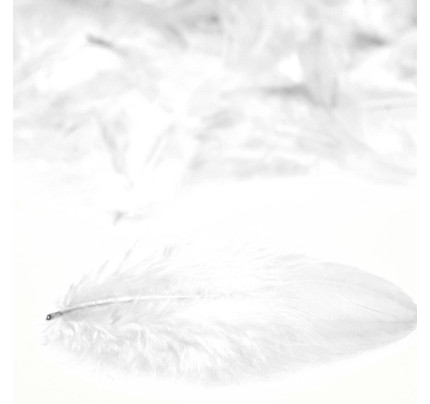 Peříčka - bílá (10 g)